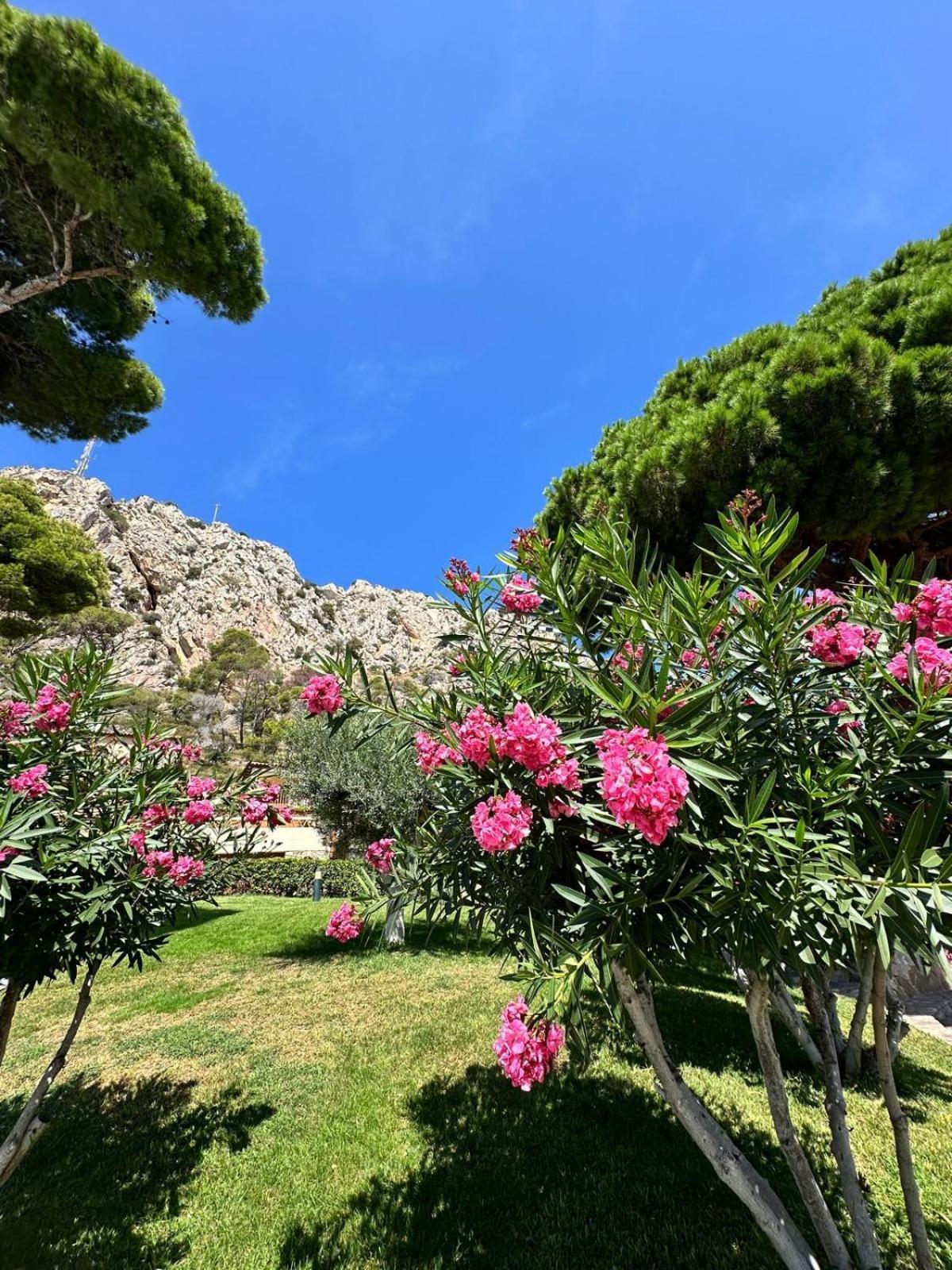 Mediterrania 98 Торроэлья-де-Монгри Экстерьер фото
